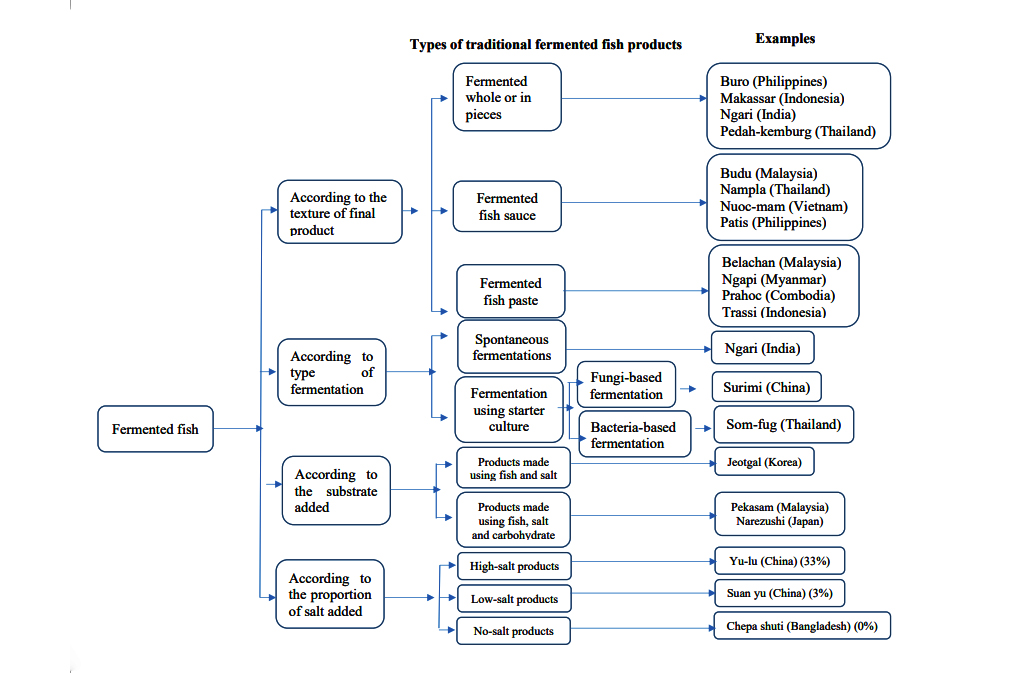 This Chart is created by the writer.