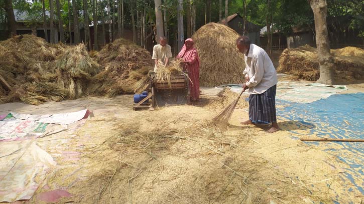 গাইবান্ধায় ভর্তুকির কম্বাইন হারভেস্টার মেশিন ব্যবহারে অনিহা কৃষকদের গাইবান্ধায় ভর্তুকির কম্বাইন হারভেস্টার মেশিন ব্যবহারে অনিহা কৃষকদের