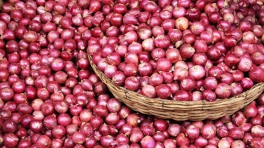 পেঁয়াজ রপ্তানি নিষিদ্ধ করল ভারত