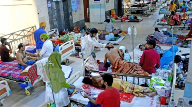সারাদেশে ডেঙ্গুতে আরও ৭ জনের মৃত্যু