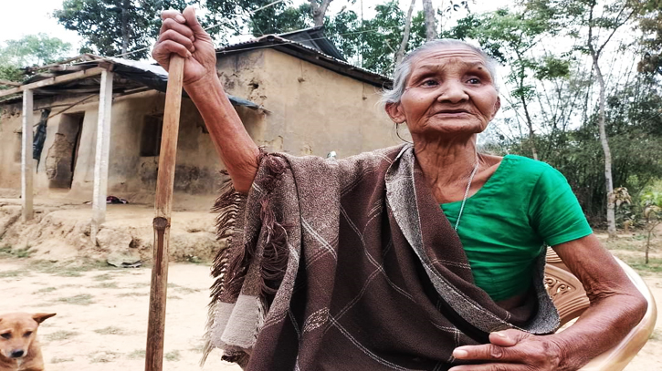 বীরাঙ্গনার স্বীকৃতি পেল ঝর্ণা দিও সহ ৬ নারী বীরাঙ্গনার স্বীকৃতি পেল ঝর্ণা দিও সহ ৬ নারী