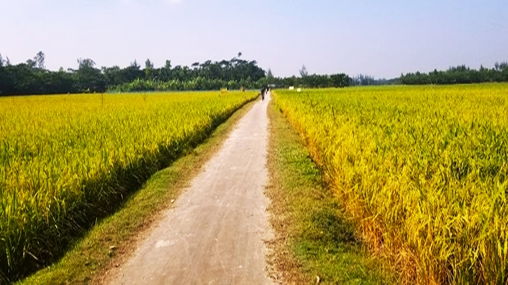 রায়পুরে ১০ টাকার অ্যাকাউন্টের সুফলবঞ্চিত কৃষকরা রায়পুরে ১০ টাকার অ্যাকাউন্টের সুফলবঞ্চিত কৃষকরা