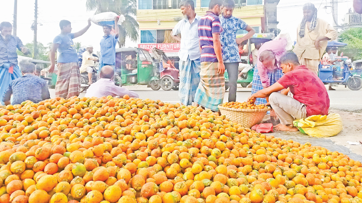 Farmers benefit from lower risks, favourable weather