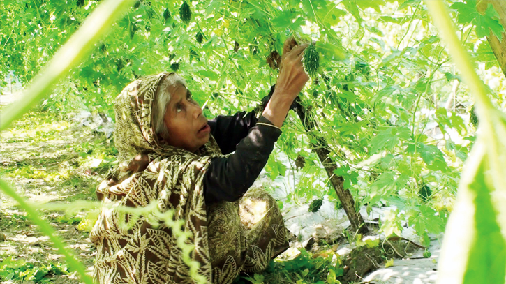 Consumers worry as rising prices make farmers happy