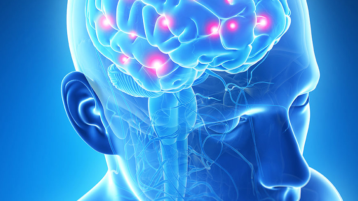 Ancient viruses responsible for our big brains and bodies Ancient viruses responsible for our big brains and bodies