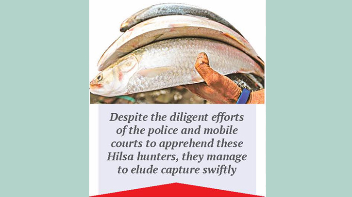 Ban fails to deter unabated mother Hilsa netting Ban fails to deter unabated mother Hilsa netting