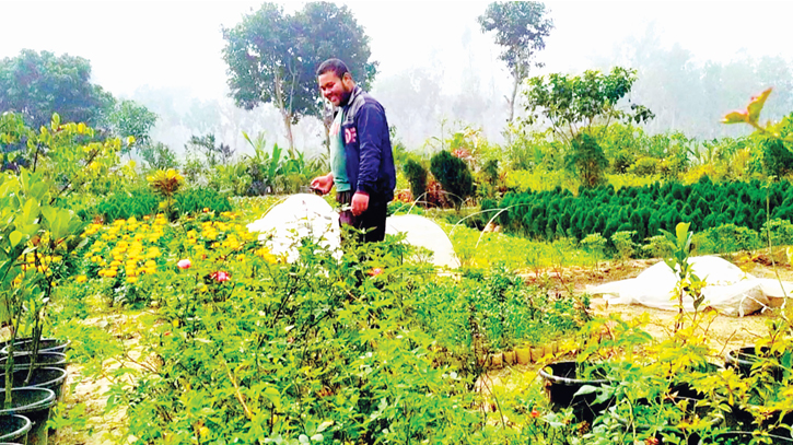 Gaibandha village blossoms through nurseries