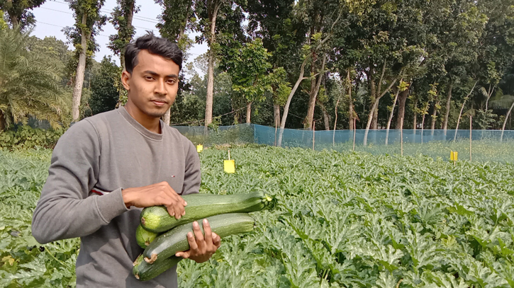 Squash farming sees success in Jashore Squash farming sees success in Jashore