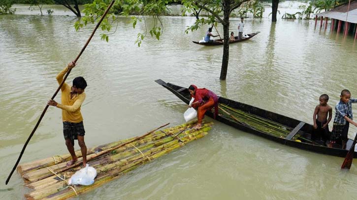 Flood: Netrokona fish farm owners suffer losses of Tk 11.57 cr