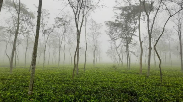 Sreemangal records today’s lowest temperature