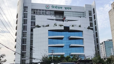 EC approves transfer of 338 OCs and 205 UNOs