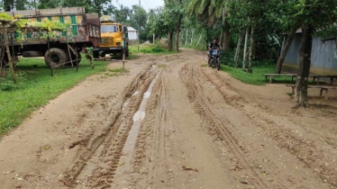 Muddy road in Nalitabari causes sufferings