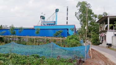 Rice mill pollutes air, damages crops 