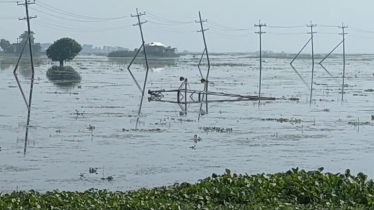 Haor’s electric pillars pose deadly risks