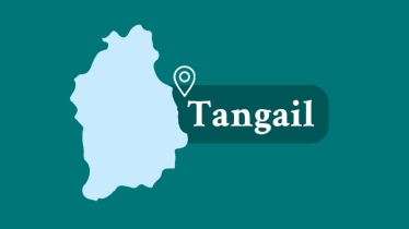 Body of journalist’s mother recovered from house in Tangail
