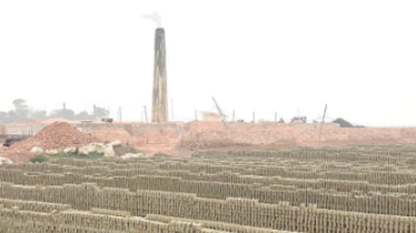 Unchecked rise of illegal brick kilns threatens environment