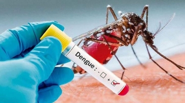 Dengue claims 5 more lives; Death toll now 128