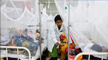 11 more dengue patients hospitalised in 24hrs