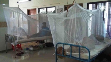 Dengue death toll now 134 as 6 more die