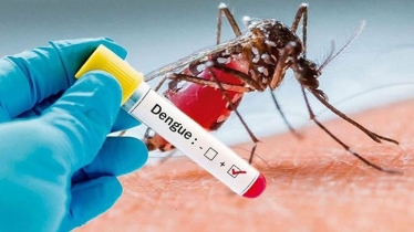 No respite from Dengue: Death toll rises to 167