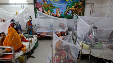 Dengue death toll now 263 with three more deaths