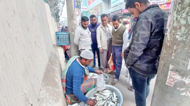 Illegal ‘jatka’ trade rampant in Chandpur despite ban
