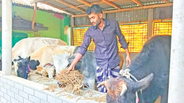 Educated youths taste success as livestock entrepreneurs