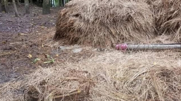 2 children, mother die as haystack falls on them in Feni