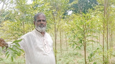 Agar planting augers well for farmer Sheikh Siddiq