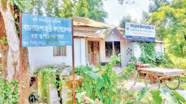 Jute Corporation land is being sold at nominal price in Thakurgaon