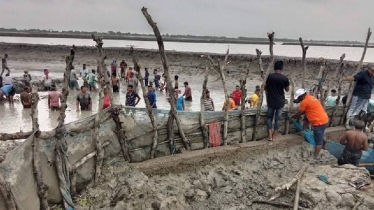 Embankment collapses again in Khulna