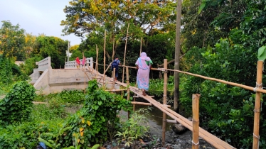 People climb bamboo bridge to access bridge worth Tk 89 Lakh
