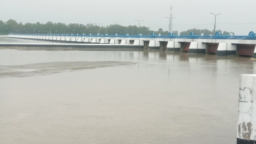 Agricultural land shrinks as Teesta River dries up