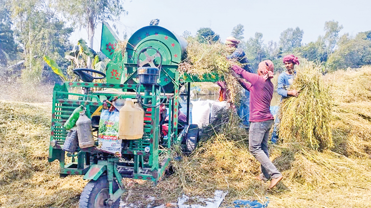 Good yield, fair price make mustard growers happy