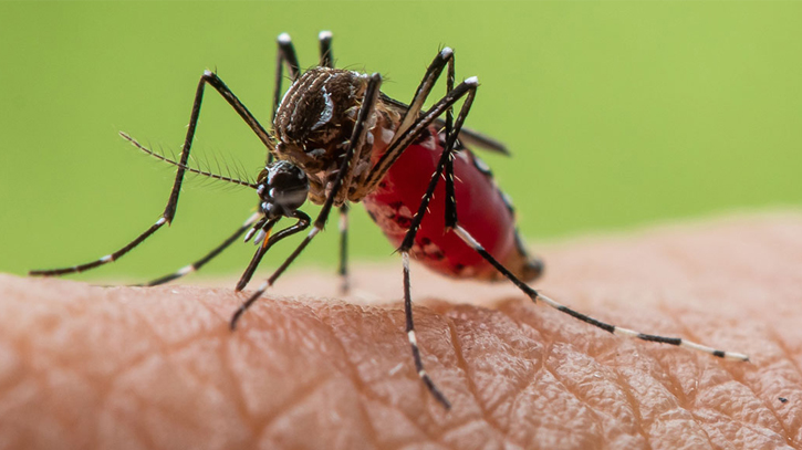 Dengue with flu, water-borne diseases doubles troubles Dengue with flu, water-borne diseases doubles troubles