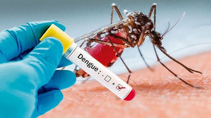 Dengue fatalities now 258 with another death