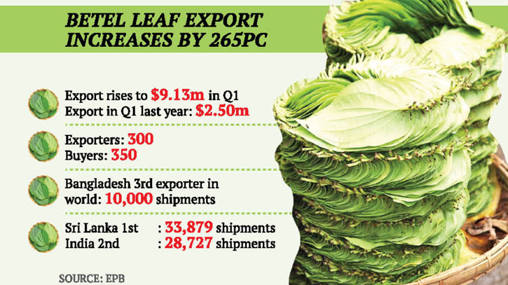 Boost in betel leaf exports as EU lifts ban Boost in betel leaf exports as EU lifts ban