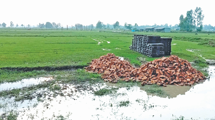 Unplanned industrialization on arable lands threatens food security Unplanned industrialization on arable lands threatens food security