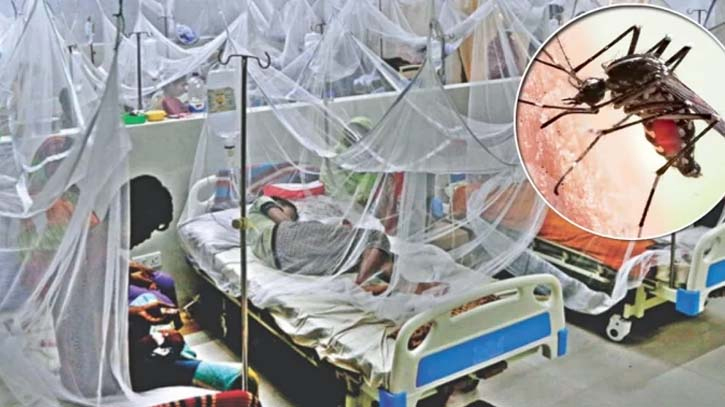 Dengue situation may worsen in August, September Dengue situation may worsen in August, September