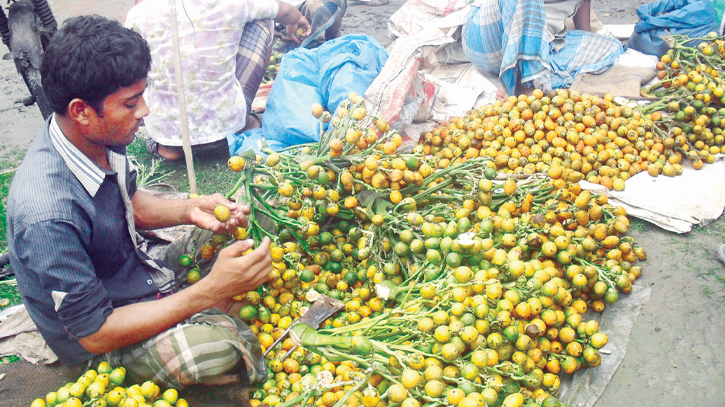 High yield, fair price bring smile to betel nut growers High yield, fair price bring smile to betel nut growers