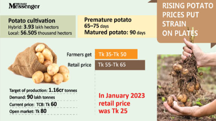 Premature potato harvest impacts total production Premature potato harvest impacts total production