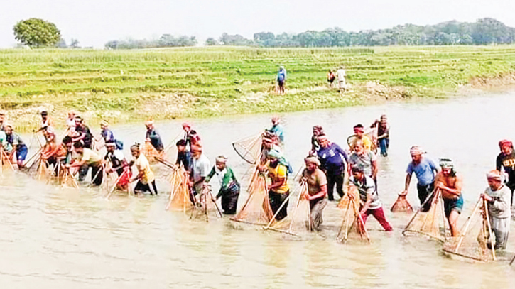 Fish catching festival at Padma River