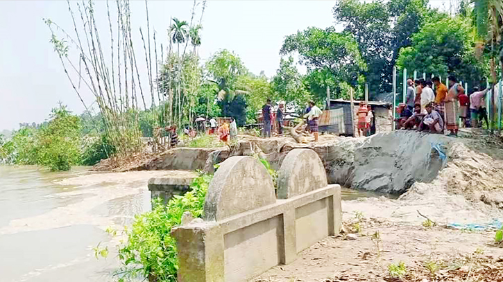Rising Jamuna River waters spell trouble for Tangail locals 