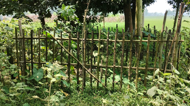 গাইবান্ধায় এক রাতে কবর খুঁড়ে ছয় মরদেহ চুরি গাইবান্ধায় এক রাতে কবর খুঁড়ে ছয় মরদেহ চুরি