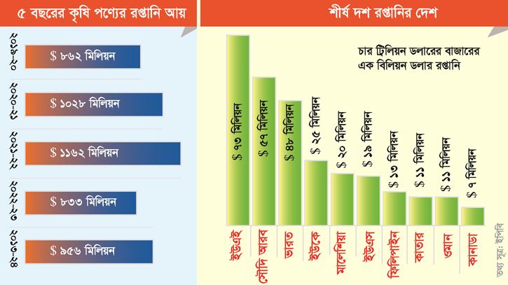 পরিকল্পনার অভাবে বিশ্ব কৃষি বাজার হারাচ্ছে বাংলাদেশ