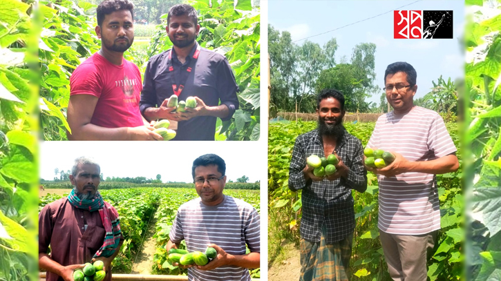 দুঃসময়ে শসা চাষিদের পাশে ‘স্বপ্ন’