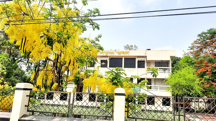 রাজবাড়ীর সড়ক ভবন যেন সোনালী অভ্যর্থনা রাজবাড়ীর সড়ক ভবন যেন সোনালী অভ্যর্থনা