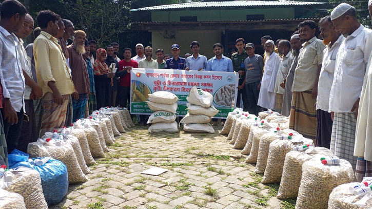আলীকদমে কৃষকদের মাঝে ভুট্টা, বাদামের বীজ বিতরণ আলীকদমে কৃষকদের মাঝে ভুট্টা, বাদামের বীজ বিতরণ
