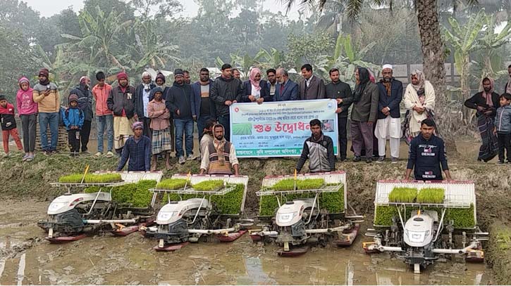 ফুলবাড়ীতে রাইস ট্রান্সপ্লান্টারের মাধ্যমে বোরো ধান চারা রোপণ কার্যক্রম শুরু ফুলবাড়ীতে রাইস ট্রান্সপ্লান্টারের মাধ্যমে বোরো ধান চারা রোপণ কার্যক্রম শুরু