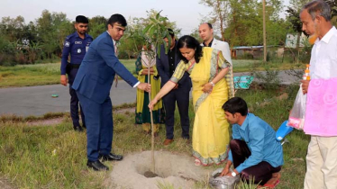 নলডাঙ্গা উন্নয়নে সর্বোচ্চ সহযোগিতা করা হবে : ডিসি আসমা শাহীন